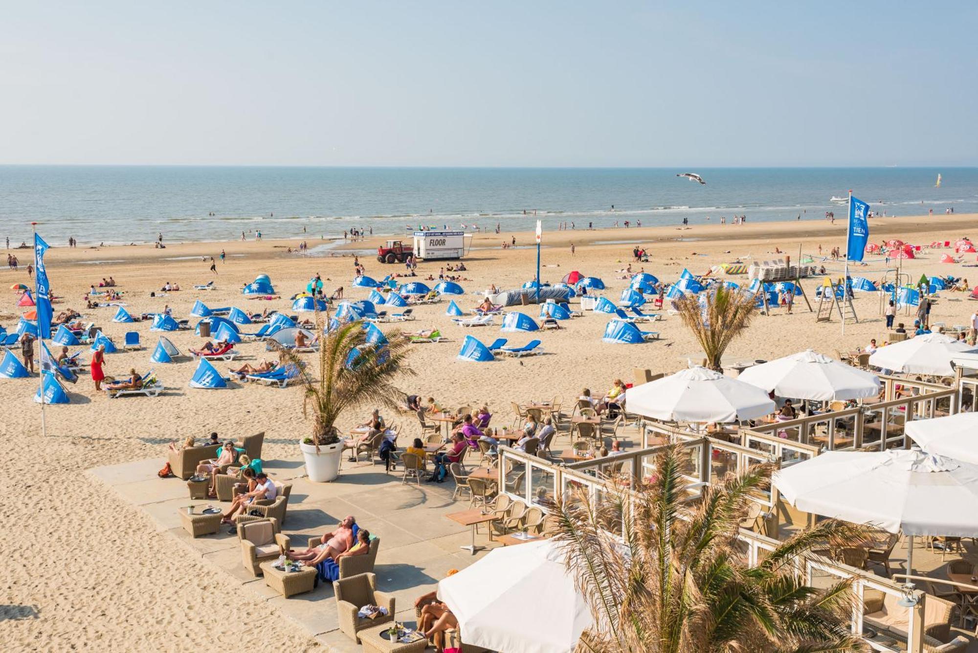 Sand & Dunes Apartment Zandvoort Esterno foto